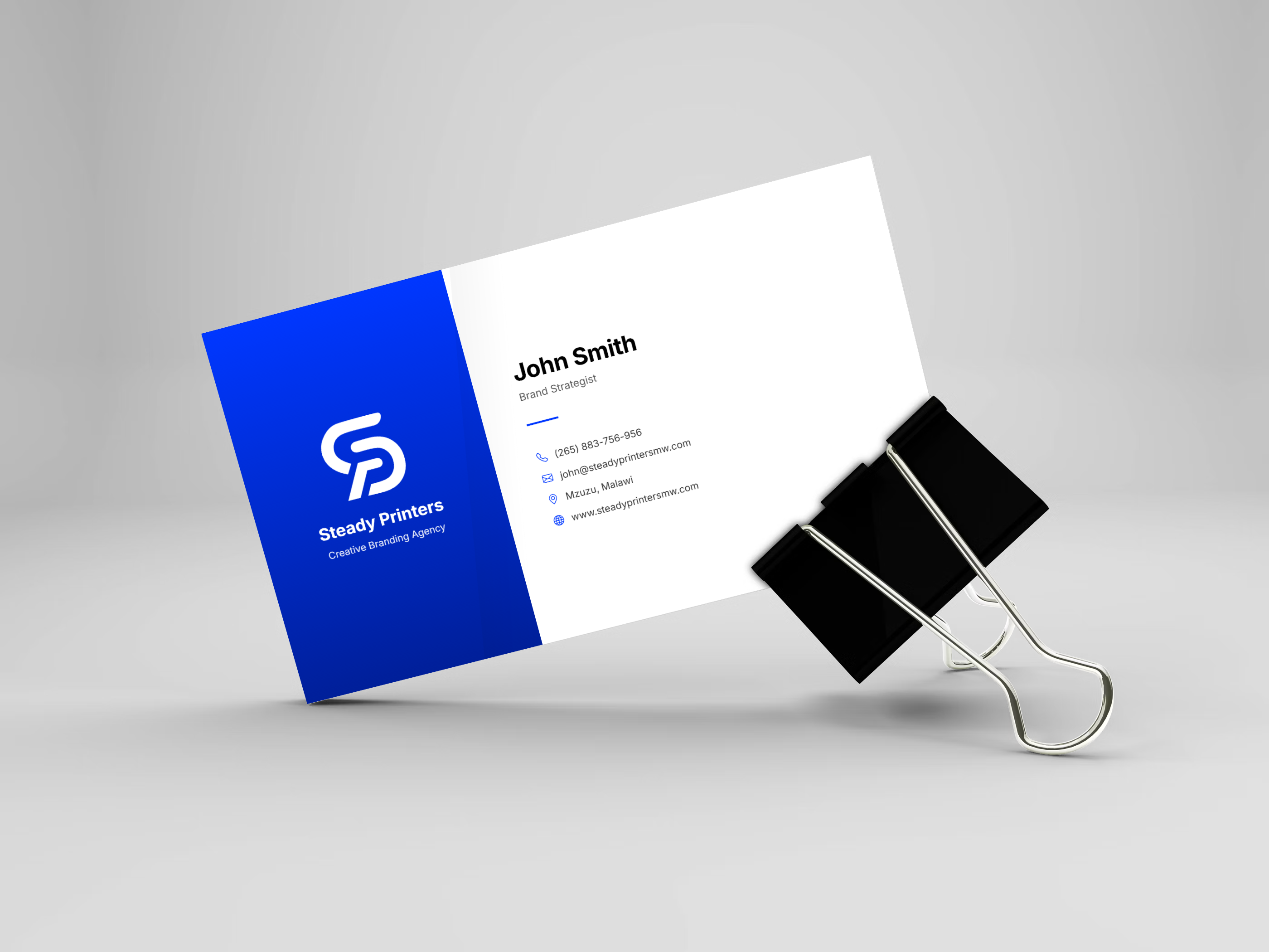 Professional Business Card
